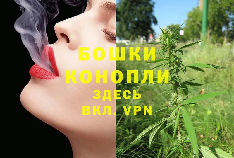 мориарти состав  Инсар  Конопля LSD WEED 